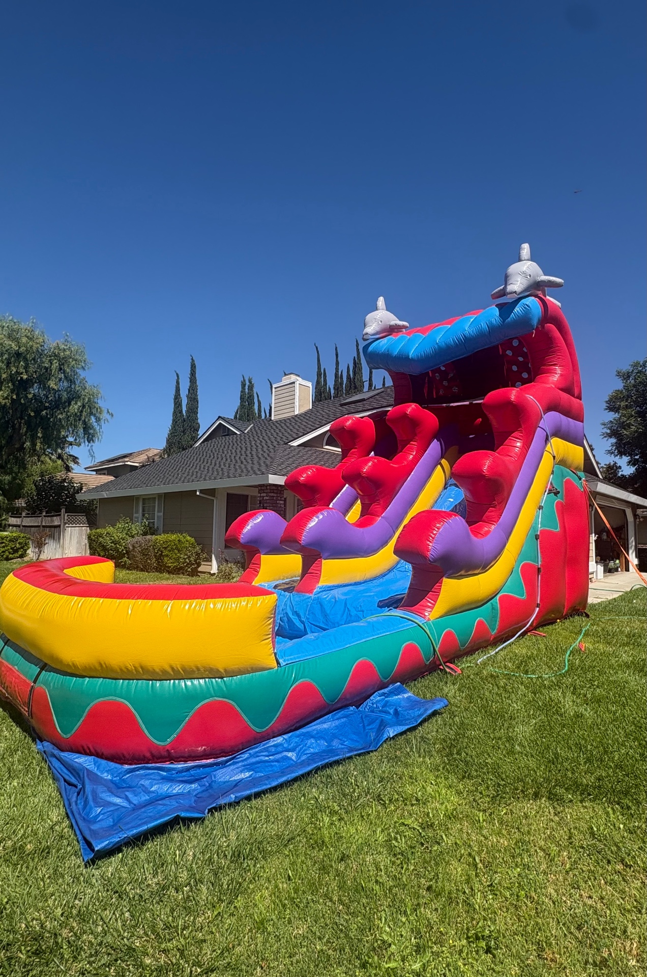 16ft Dolphin Wave Rider