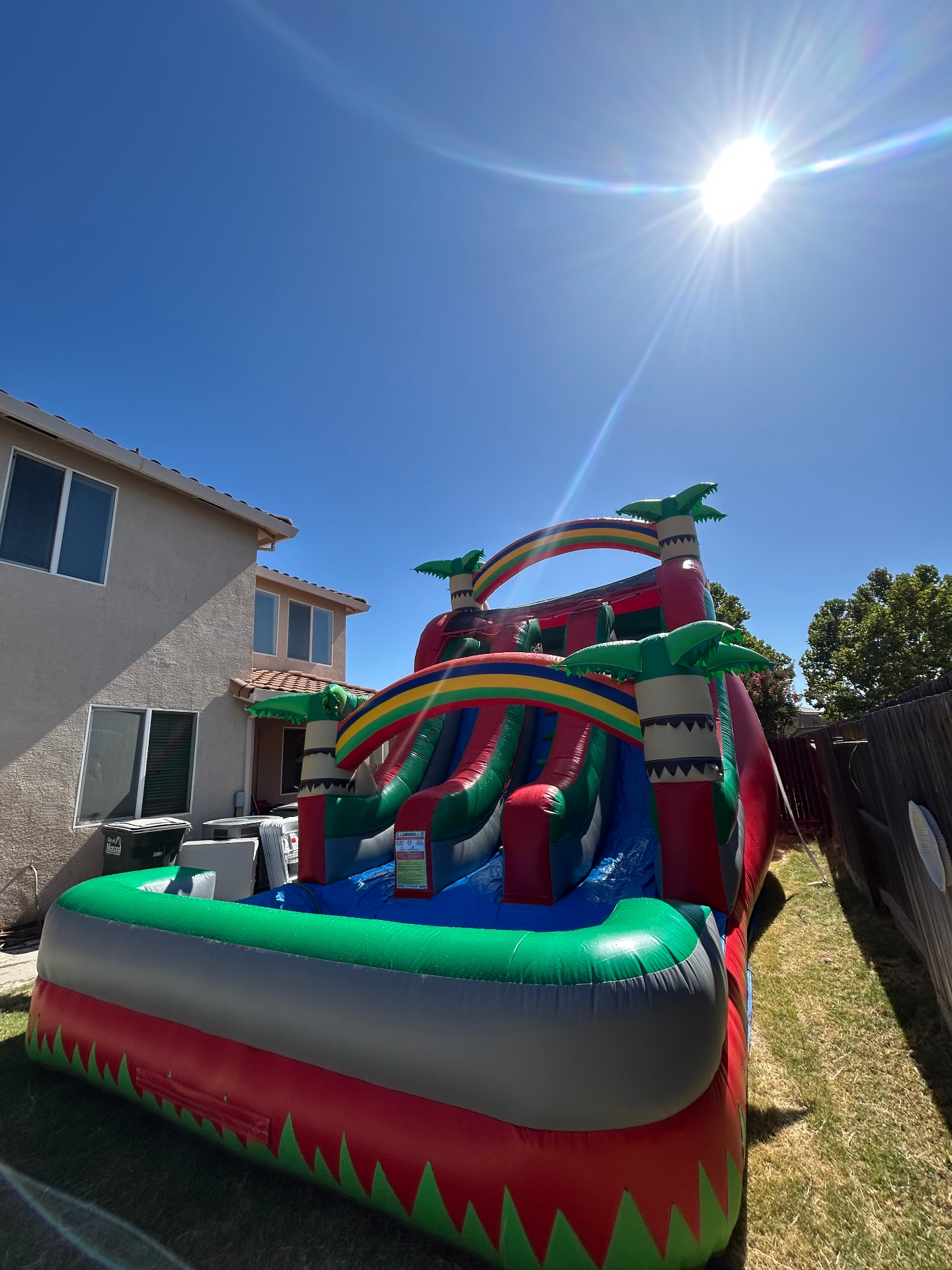 18ft Tropical Palm Double Blast Lane