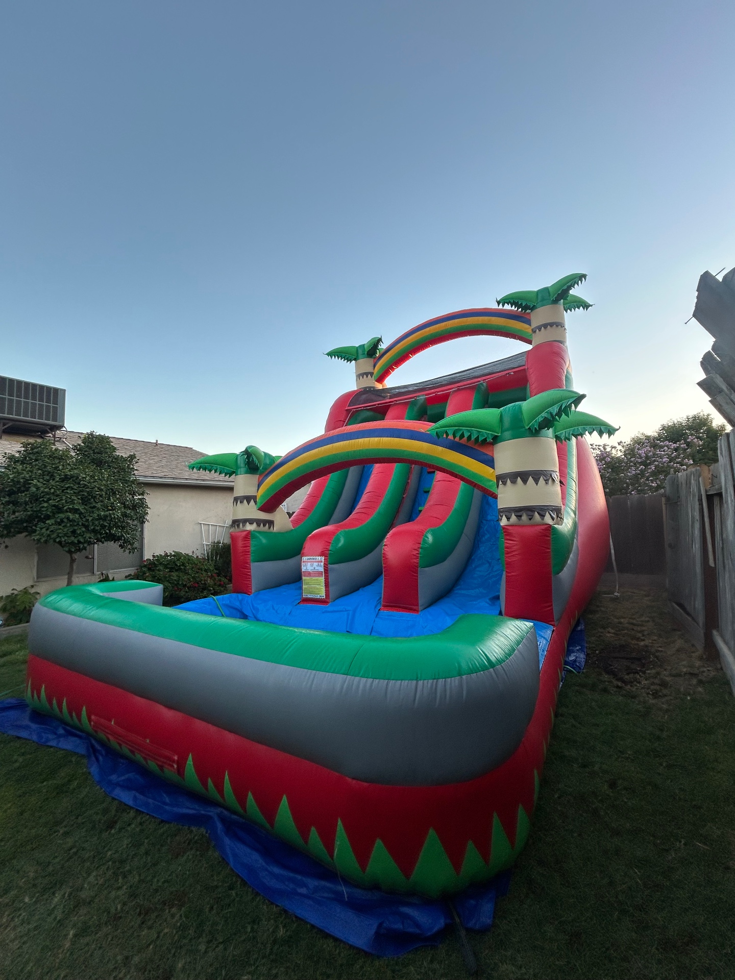 18ft Tropical Palm Double Blast Lane